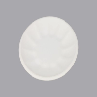 Eco-friendly  Bagasse Molded Fiber Food Paper Tray