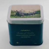 Rectangular Metal Tin Box With Handle 