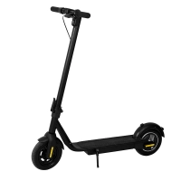 350W powerful dual charging scooter