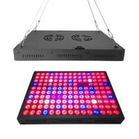 Greenhouse Square Lamp